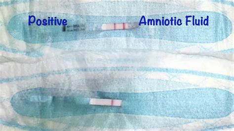 slow leak of amniotic fluid|Leaking amniotic fluid: Signs and what to do